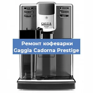 Чистка кофемашины Gaggia Cadorna Prestige от накипи в Волгограде